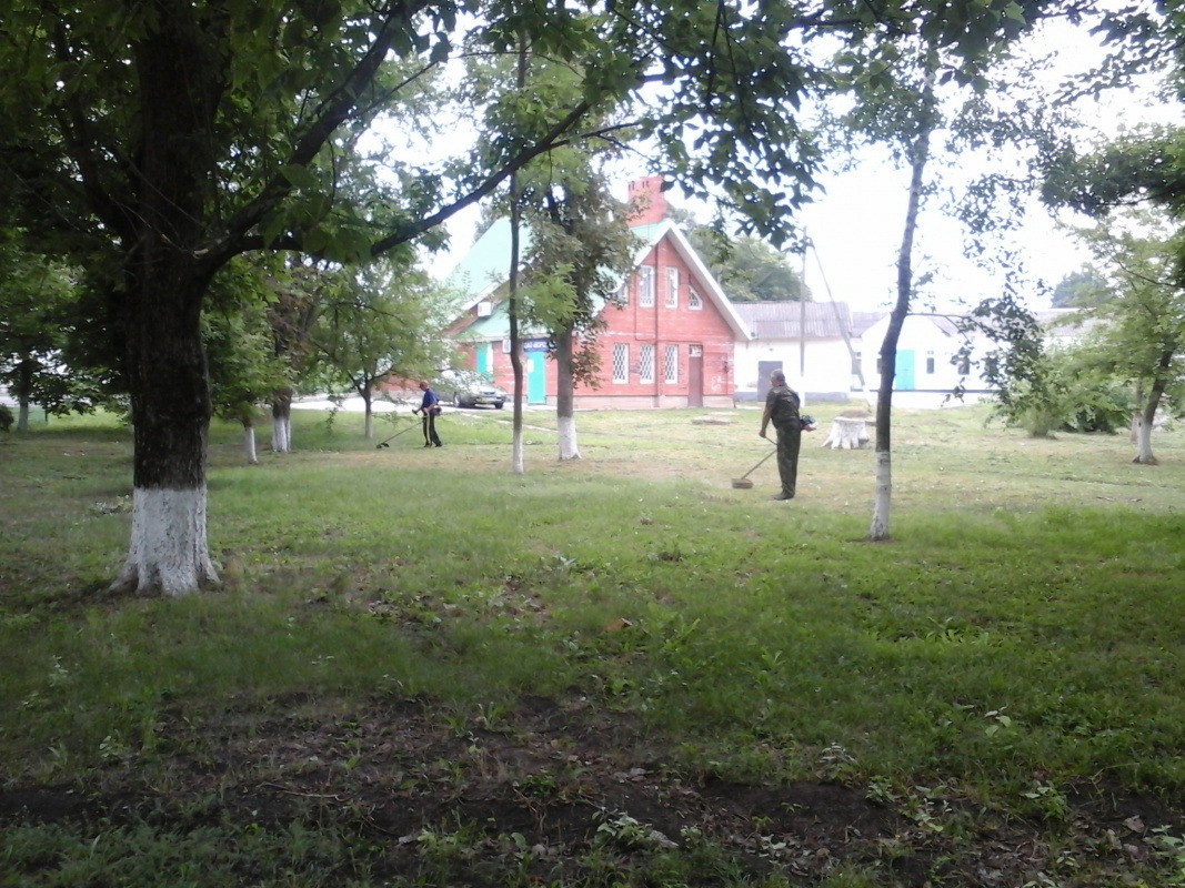 20150710_080413