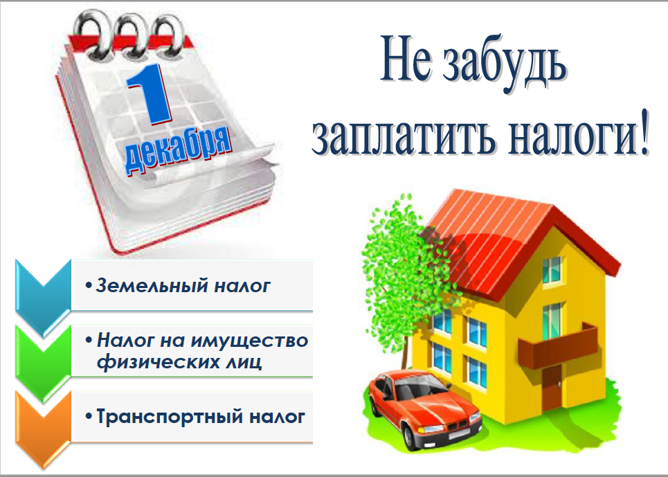 11a55bdf0e