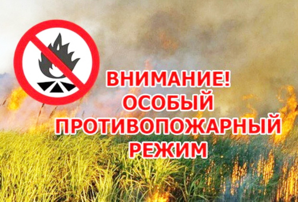 режим-противопожарный-для-сайта
