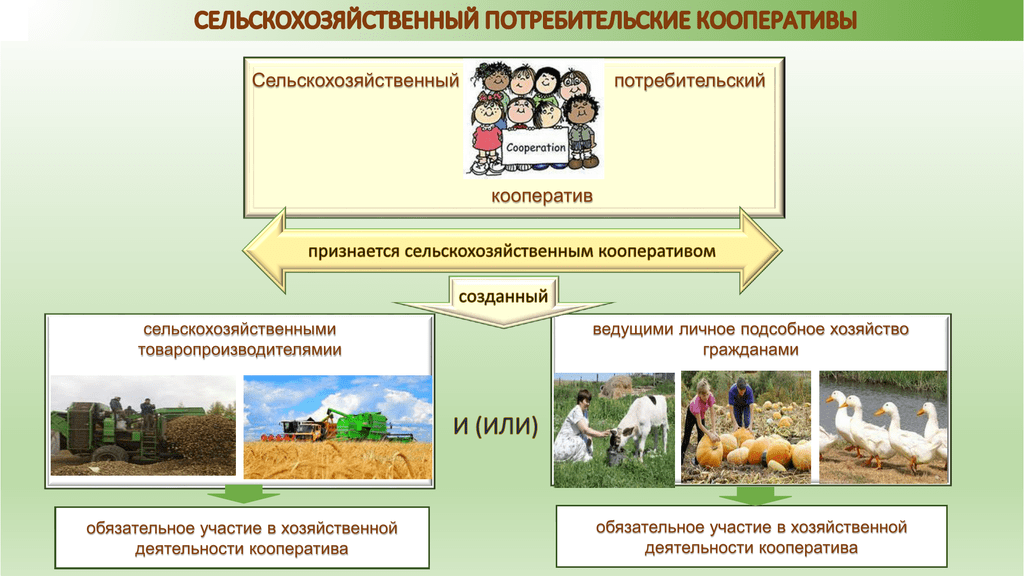 005105111_1-a6963818138bd7d6ab05301be8b9ec13
